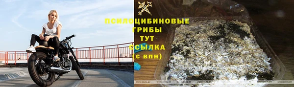 таблы Алзамай