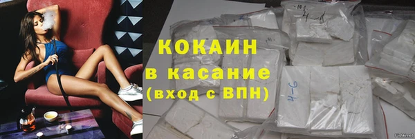 ешки Алексин
