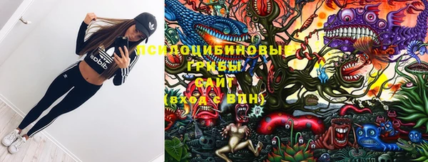таблы Алзамай