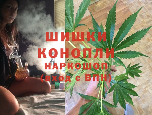 ешки Алексин