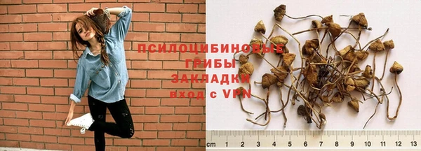 ешки Алексин