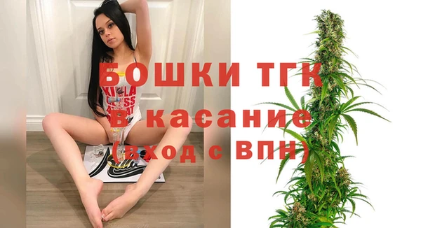 ешки Алексин